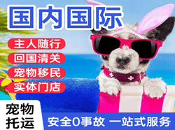大理凤仪机场托运国际宠物托运 【国